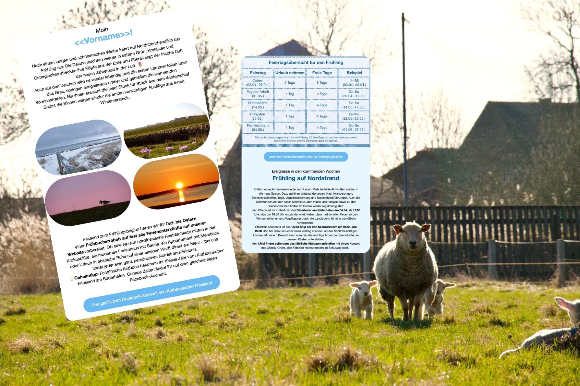Newsletter/Frühjahrsnewsletter